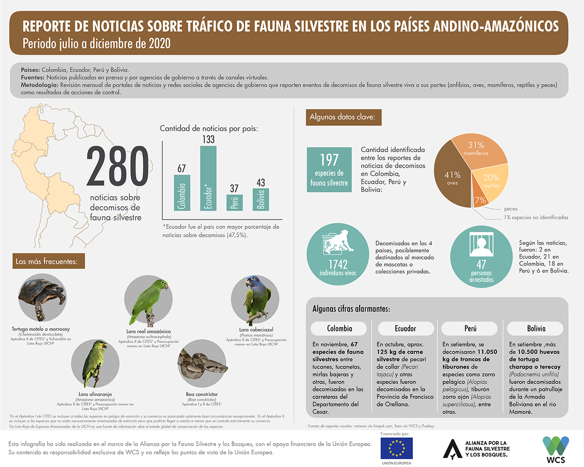 Más De 195 Especies De Fauna Silvestre Fueron Decomisadas En Perú Y Latinoamérica En El último 6036